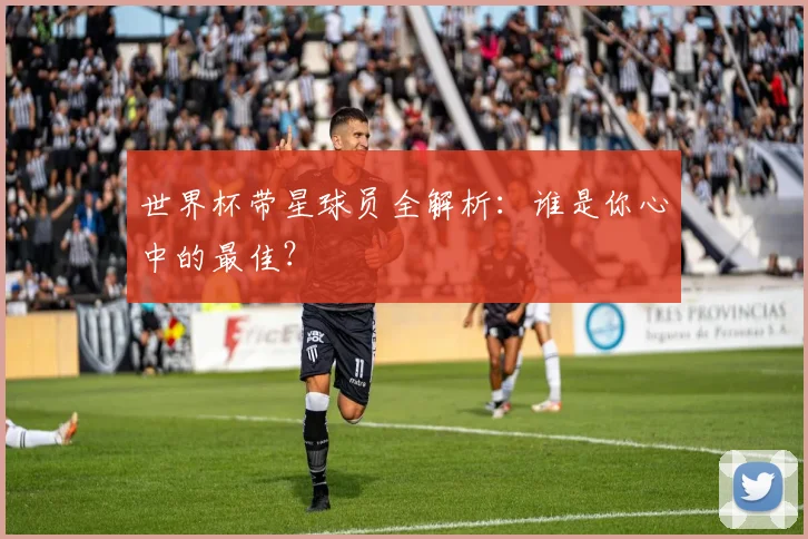 世界杯带星球员全解析：谁是你心中的最佳？