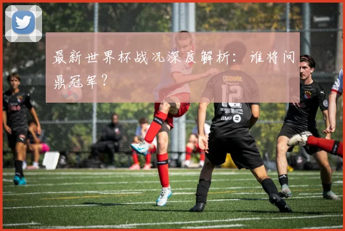 最新世界杯战况深度解析:谁将问鼎冠军?