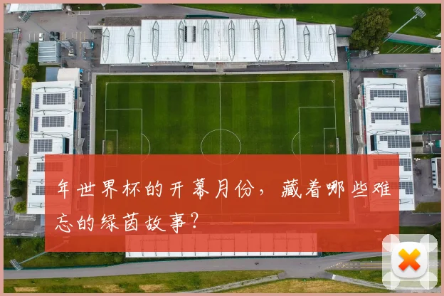 年世界杯的开幕月份，藏着哪些难忘的绿茵故事？
