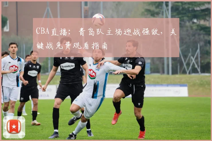 CBA直播：青岛队主场迎战强敌，关键战免费观看指南